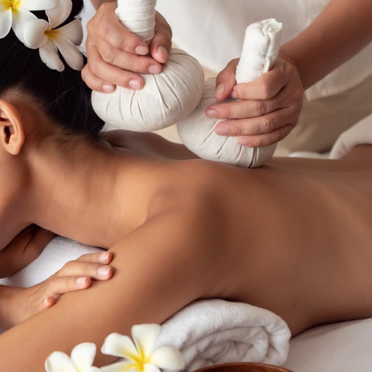 Green Turmeric Live Plant - (Curcuma aeruginosa) - Rare Medicinal Herb, Vibrant Pink Flowers, Ideal for Tropical Gardens (4 Green Turmeric Cups)