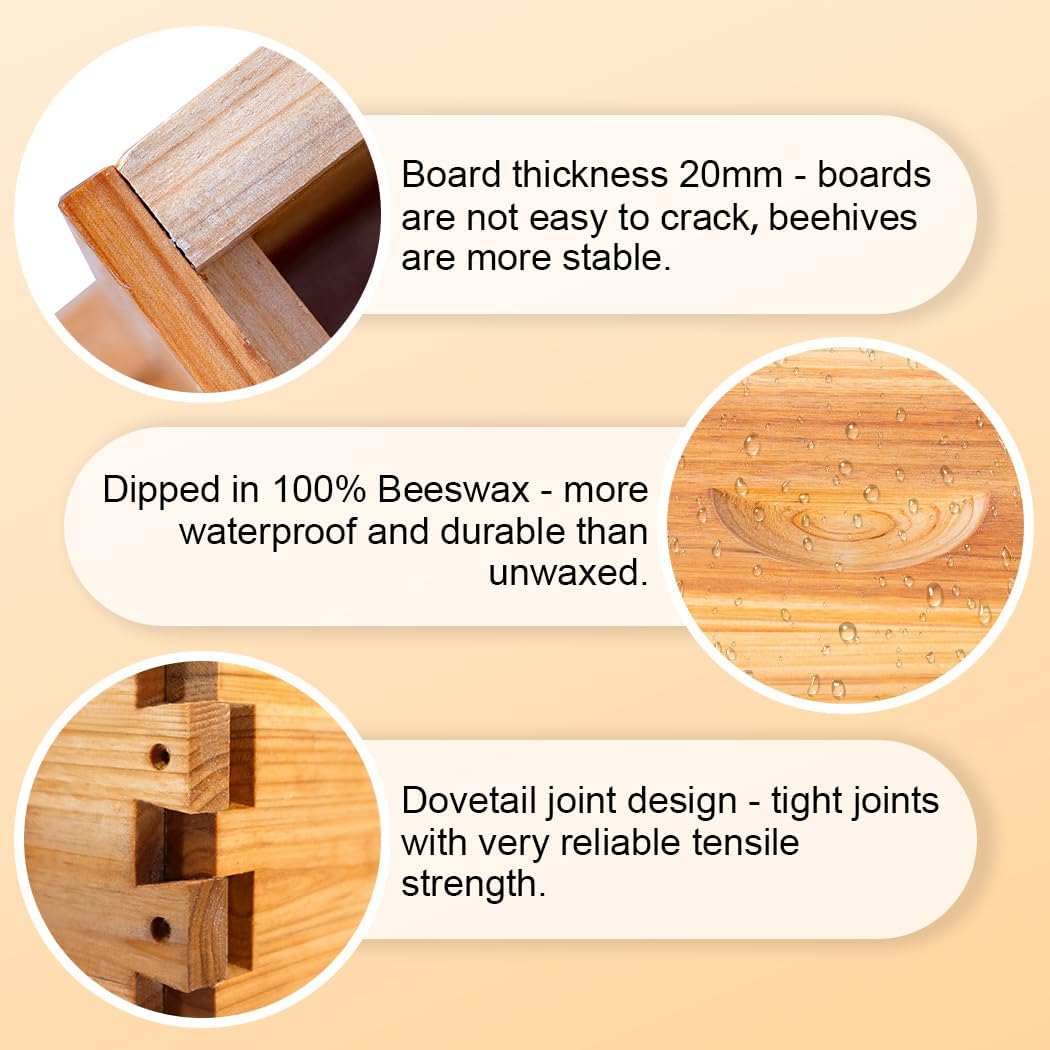 8 Frame Bee Hive Box, Langstroth Medium Super Bee Box Dipped in 100% Beeswax Include Beehive Frames and Waxed Foundation Sheets (Unassembled)
