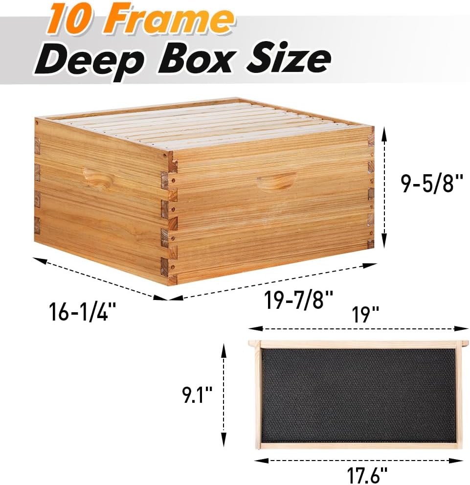POLLIBEE 10 Frame Langstroth Beehive, Beeswax Coated Bee Hives for Bee Keeper,Beehive Include 2 Deep Bee Boxes and 1 Medium Bee Hive Box with Frame and Foundation(Unassembled)