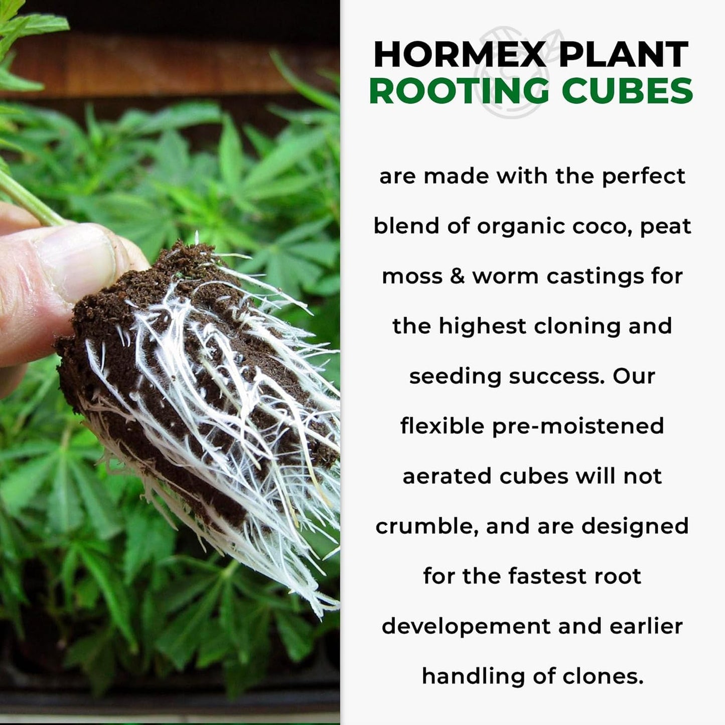 Hormex Rooting Powder #3 & Rooting Cubes Combo - Rooting Hormone for Semi-Softwood Cuttings & Organic Peat Moss Coco Plugs - Fast, Healthy Root Growth for Propagation, Hydroponics, & Seed Starting