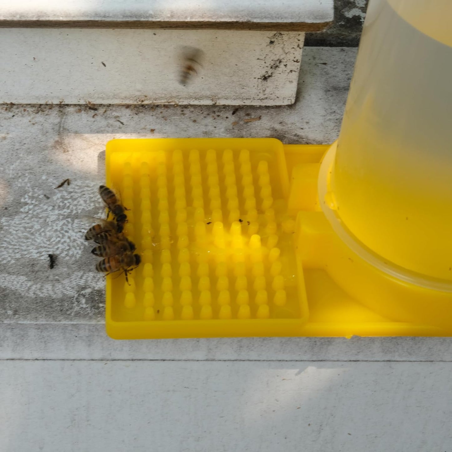 Bee Feeder Bee Watering Station 2 Pack