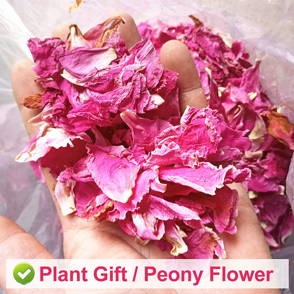 Plant Gift Peony Flower Petals 30G/1.05oz ่่ฏ่ฑ Herbaceous Peony Tea, Pure Herbal Tea, Peach Blossom Tea, Caffeine-Free, No GMOs, Chinese Tea