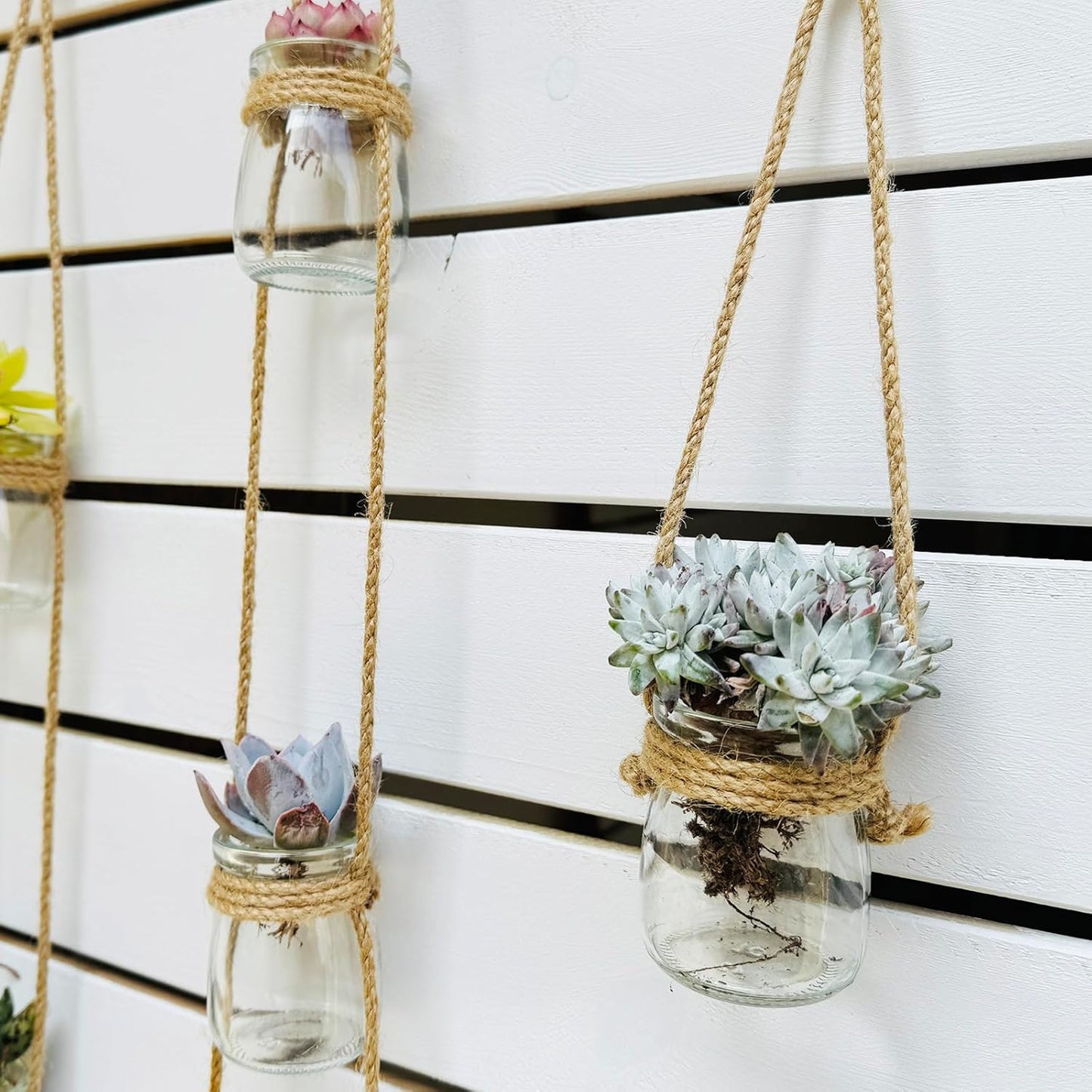 3pcs Glass Flower Vase for Hydroponic Planter Terrarium,Wall Hanging Propagation Station for Plant Cutting Home Office Living Room Garden Decor (Round)