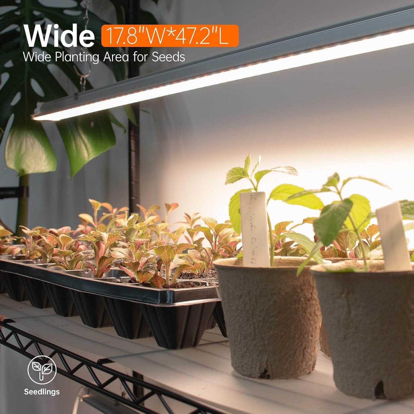 Indoor Greenhouse with Grow Light, Tall Plant Stand with 4 Pack Full Spectrum Plant Lights , 3 Color Modes, Plant Shelf with Tent for Indoor Plant, Seed Starting, Seed Tray, 47.2"x17.8"x70.9"