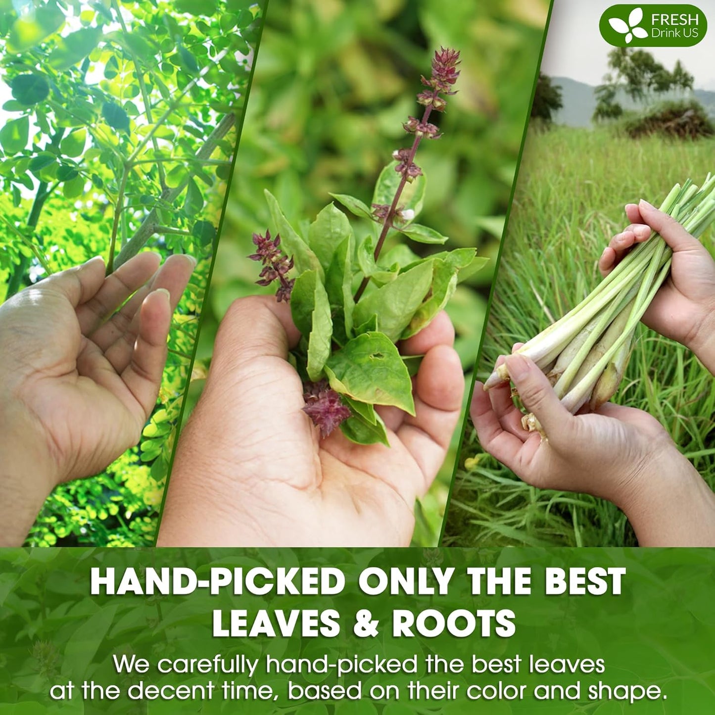 FreshDrinkUS, Premium 30 Tea Bags Tulsi Moringa Lemongrass, 100% Natural & Pure from Tulsi Holy Basil Leaves, Moringa & Lemongrass. Made with Natural Material Tea Bags. No Sugar, No Caffeine, Vegan.