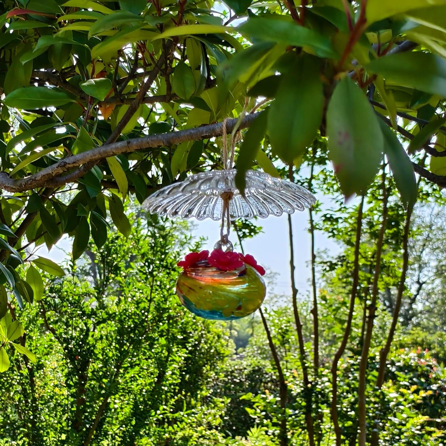 Small Glass Hummingbird Feeders for Outdoors Hanging - Hand Blown Glass Ball Nectar Feeding + Rain Cover, Multi Color with 3 Flowers Feeding Ports, Decor for Garden/Backyard Outside