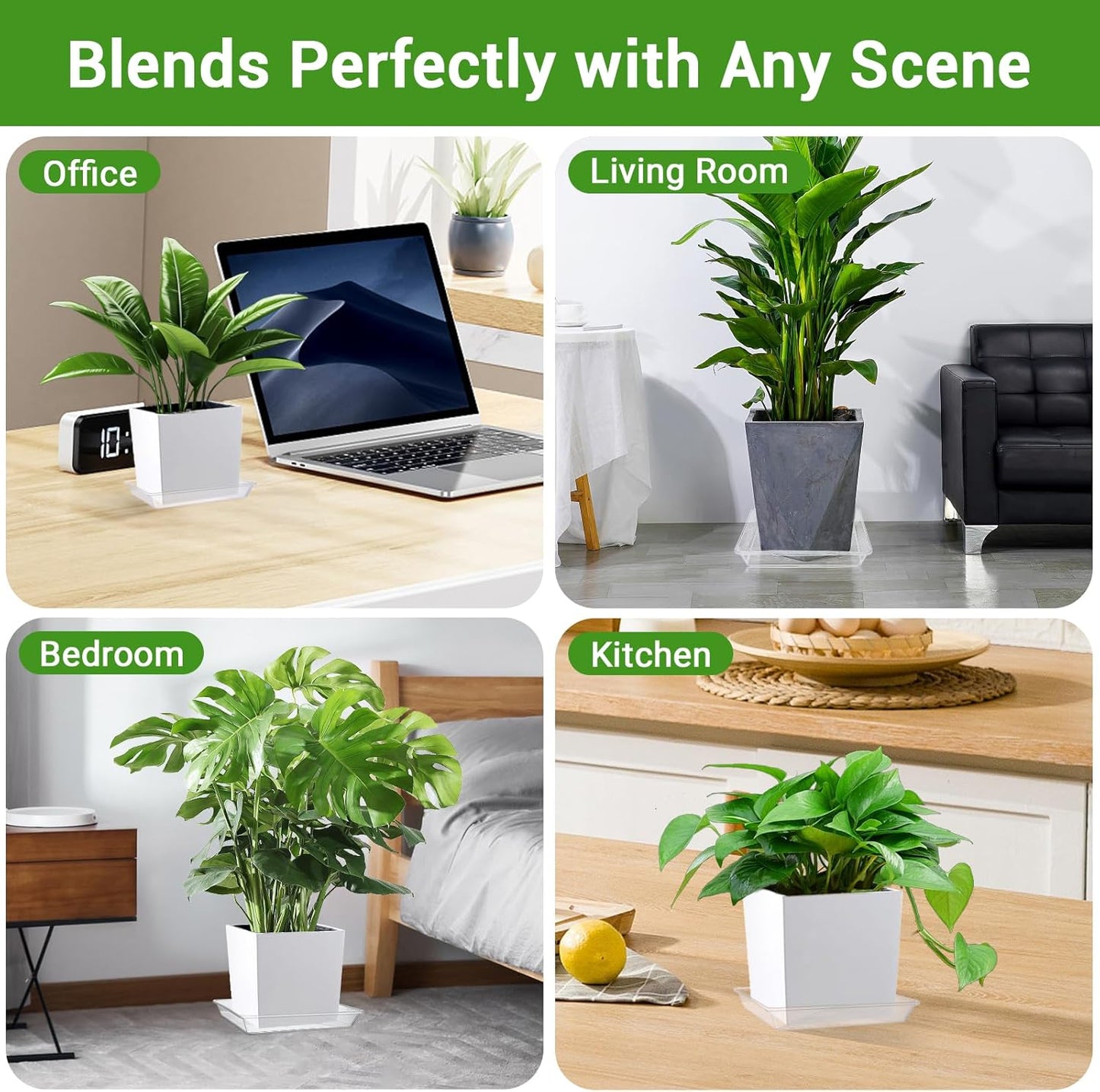 GREANER 6 Inch Square Plant Saucer, 6 PCS Plastic Tray for Indoors, Durable Thick Flower Pot Plant Drip No Holes, Clear Plant Water Catcher Tray for Indoor Outdoor Planter