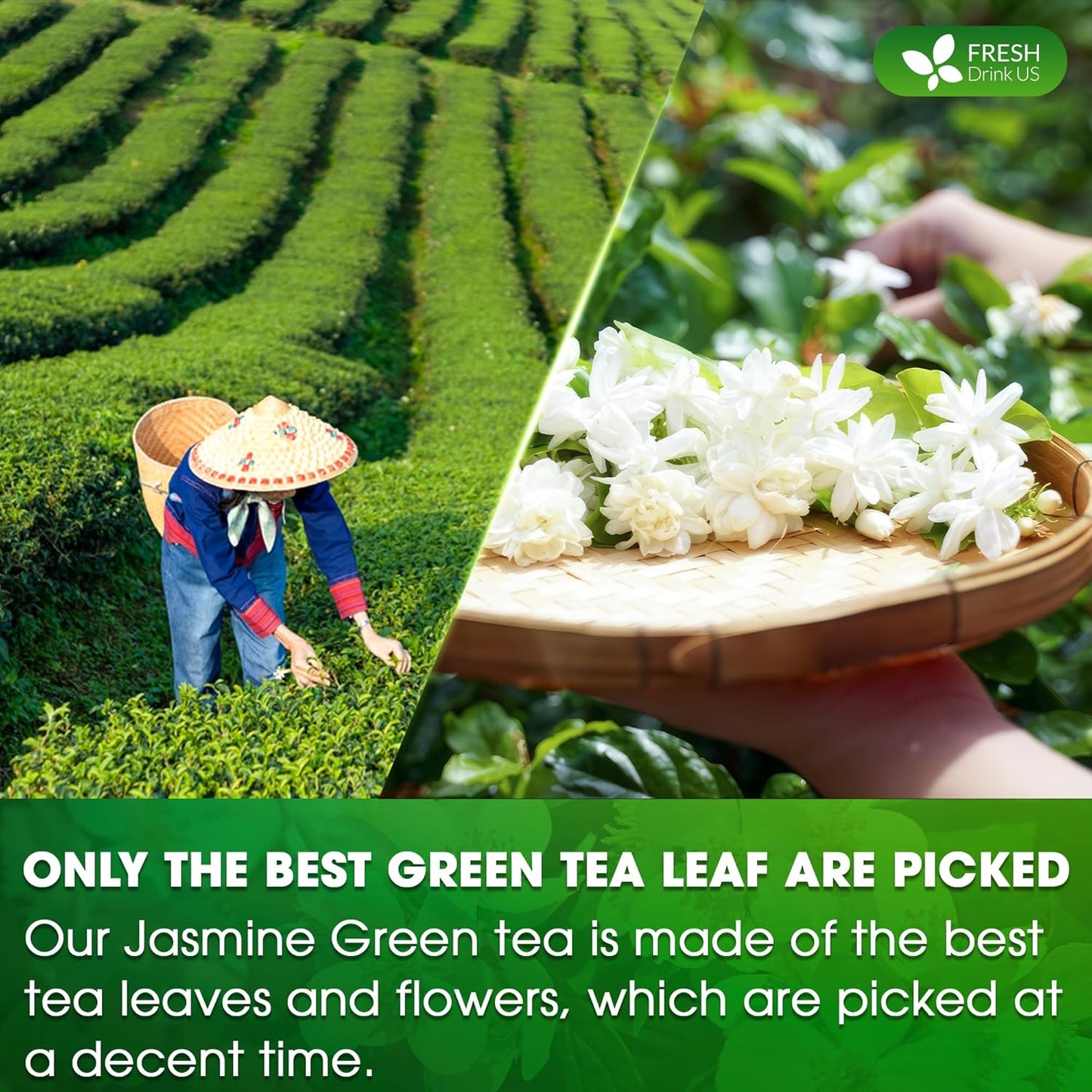 FreshDrinkUS, Premium 55 Jasmine Green Tea Bags, 100% Natural & Pure from Jasmine Green Tea. Jasmine Green Herbal Tea. Made with Natural Material Tea Bags. No Sugar, No Gluten, Vegan.