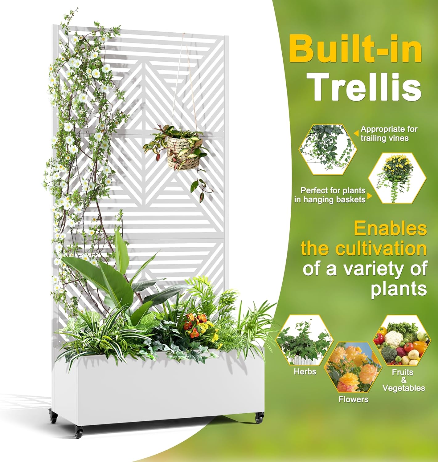 FENCY Metal Raised Garden Bed with Wheels and Trellis,73"x35"x16" Planter Box for Climbing Plants, Vegetables & Vines, Features Privacy Screen and Drainage Holes (White-Modern)