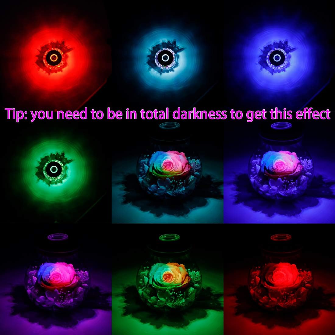 Preserved Real Roses with Colorful Mood Light Wishing Bottle,Eternal Rose，Never Withered Flowers,for Bedroom Party Table Decor, Christmas Anniversary,Valentine's,Mother's Day, (Multi)