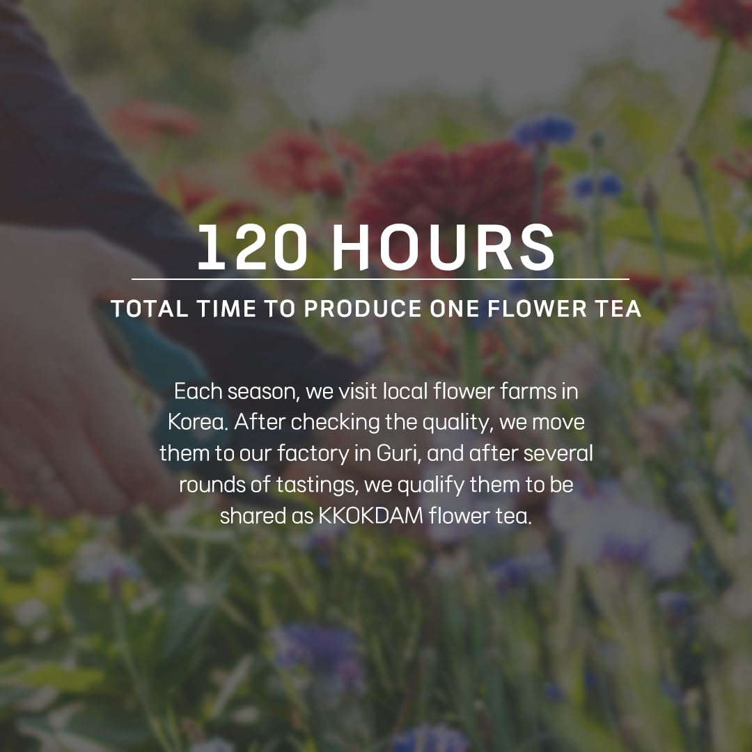 KKOKDAM Blooming Flower Tea Stick Sampler – Loose Leaf Tea Sampler, Fancy Variety Pack, Gift Set from South Korea - Perfect as Unique Gifts for Women - 8 Count