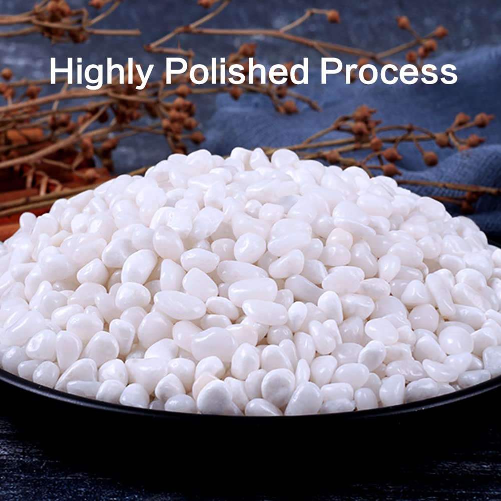 HOT SEAL 3.0 LB White Polished Pebbles 3/8", Natural Decorative Smooth River Rocks, Gravel Size White Small Pebble Stone for Succulent, Bonsai, Potted Plants, Landscaping, Fairy Garden, Aquarium