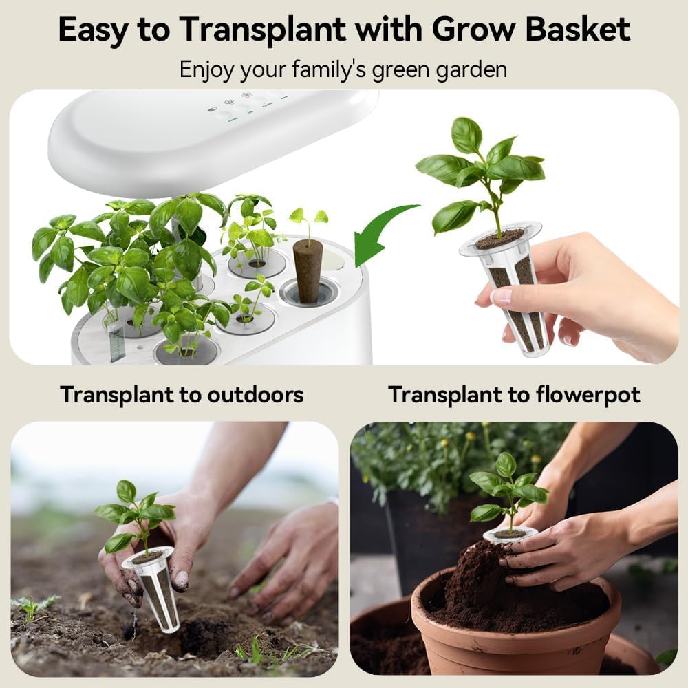 inbloom Salad Green Seed Pod Kit for Hydroponics Growing System, 7 Pods (350+ Seeds with American Fast/Paris Island/Buttercrunch Lettuce, Swiss Chard, Spinach, Cauliflower, and Wild Cabbage)