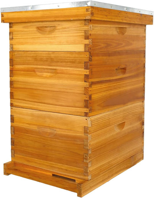 POLLIBEE 10 Frame Langstroth Beehive, Beeswax Coated Bee Hives for Bee Keeper,Beehive Include 2 Deep Bee Boxes and 1 Medium Bee Hive Box with Frame and Foundation(Unassembled)