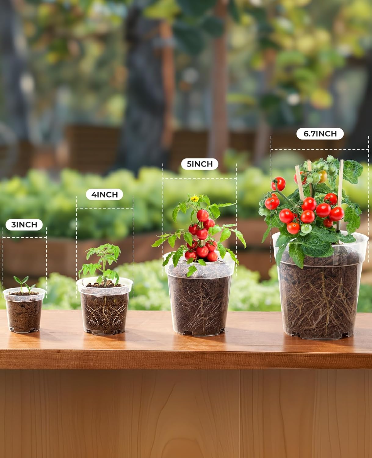 homenote Clear Nursery Pots for Plants,3/4/5/6.7 Inch Plant Pot for Planting Plastic Seedling Pots with Drainage Holes Seed Starter Pot Flower Pots High Transparency with 20 Plant Labels (36 Pack)