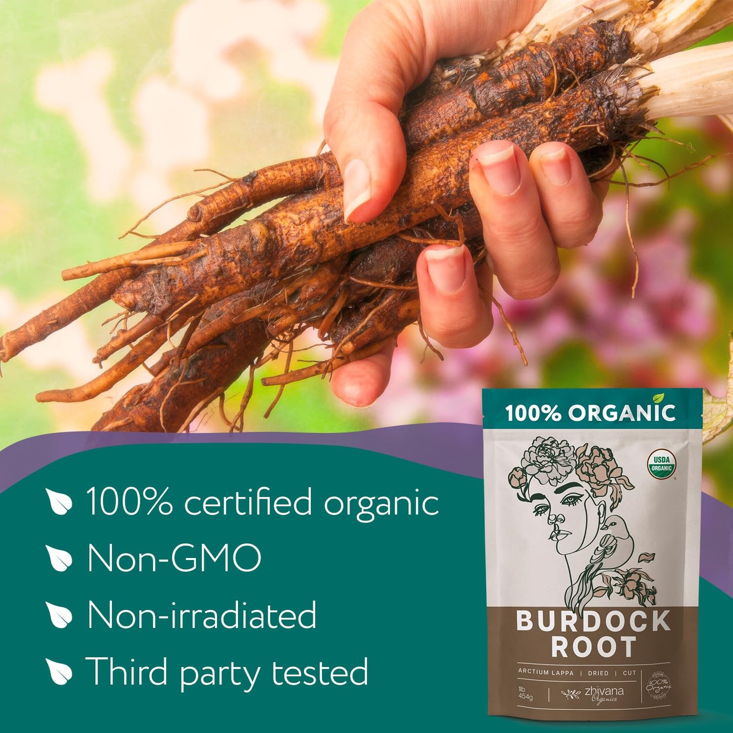Premium Burdock Root Organic (16 oz.) - Greater Burdock Root Tea Loose - Raíz De Bardana Organica 우엉차