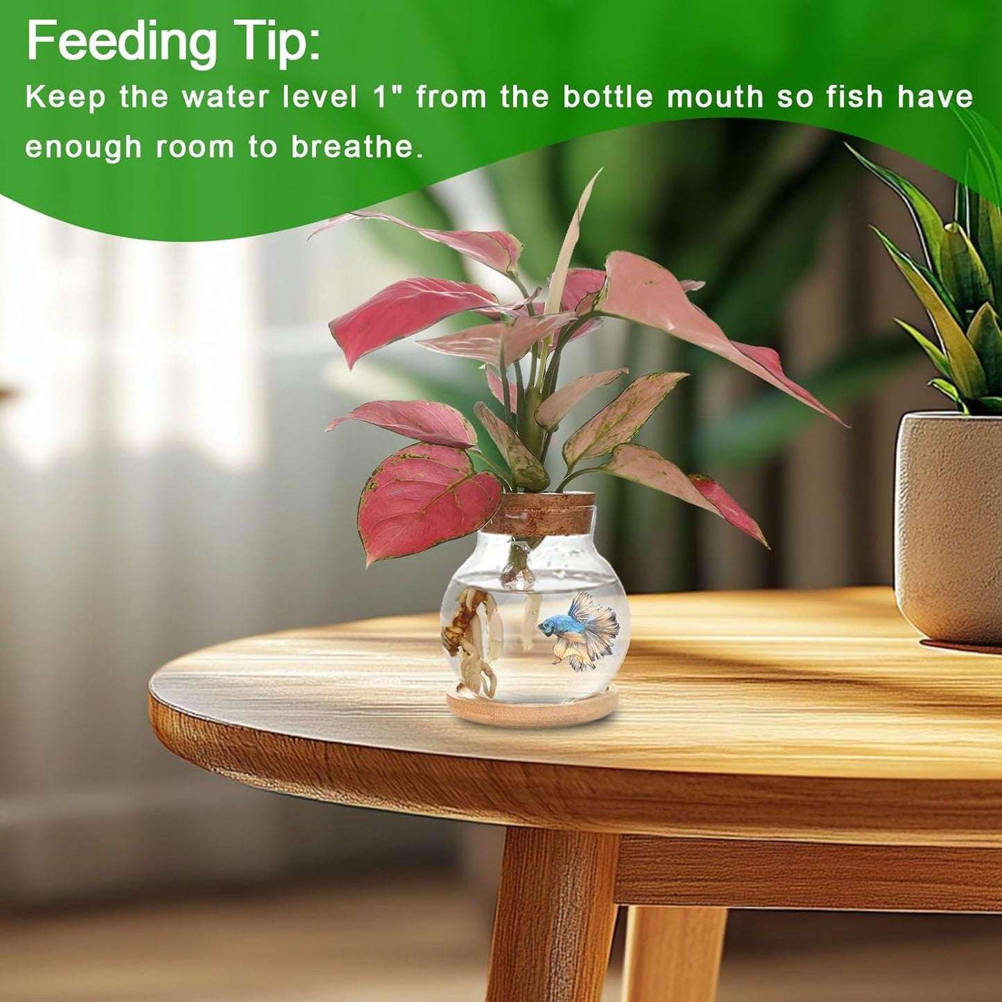 Plant Propagation Station,Hydroponic Glass Container Vase Jars, with Wooden Saucer for Desks, Houses, Garden Decorations, Home Kitchen Decorations and Gifts for Plant Lovers (2)