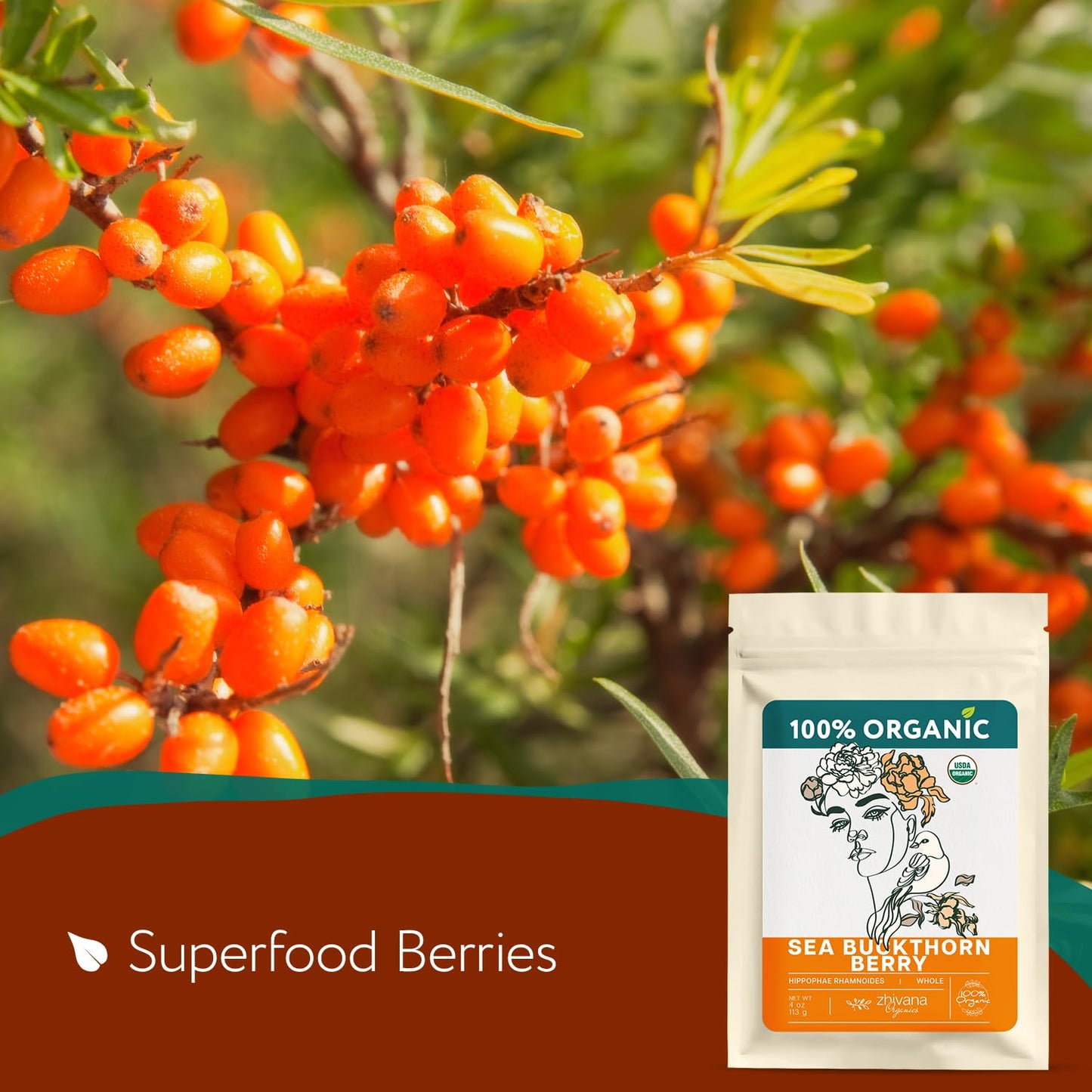 Organic Sea Buckthorn Berry – Sea Buckthorn Tea, Dried Seaberry, Seabuckthorn – Espino Amarillo – Rich in Nutrients Superfood Berries for Immunity, Heart, Digestion, Liver, Skin – 4 Ounces