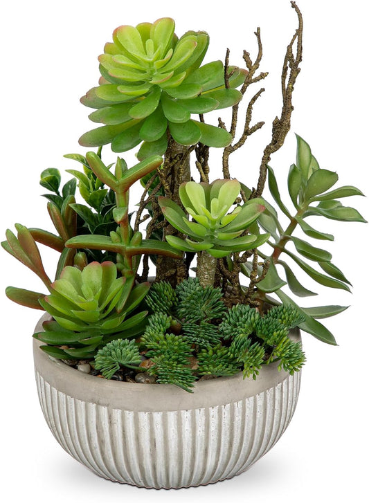 DILATATA Small Faux Plant Assorted Fake Succulents Plants Faux Succulents Arrangement Cement Potted Desk Plants Small Fake Plants for Home Table Office Bathroom Shelf Living Room Decor