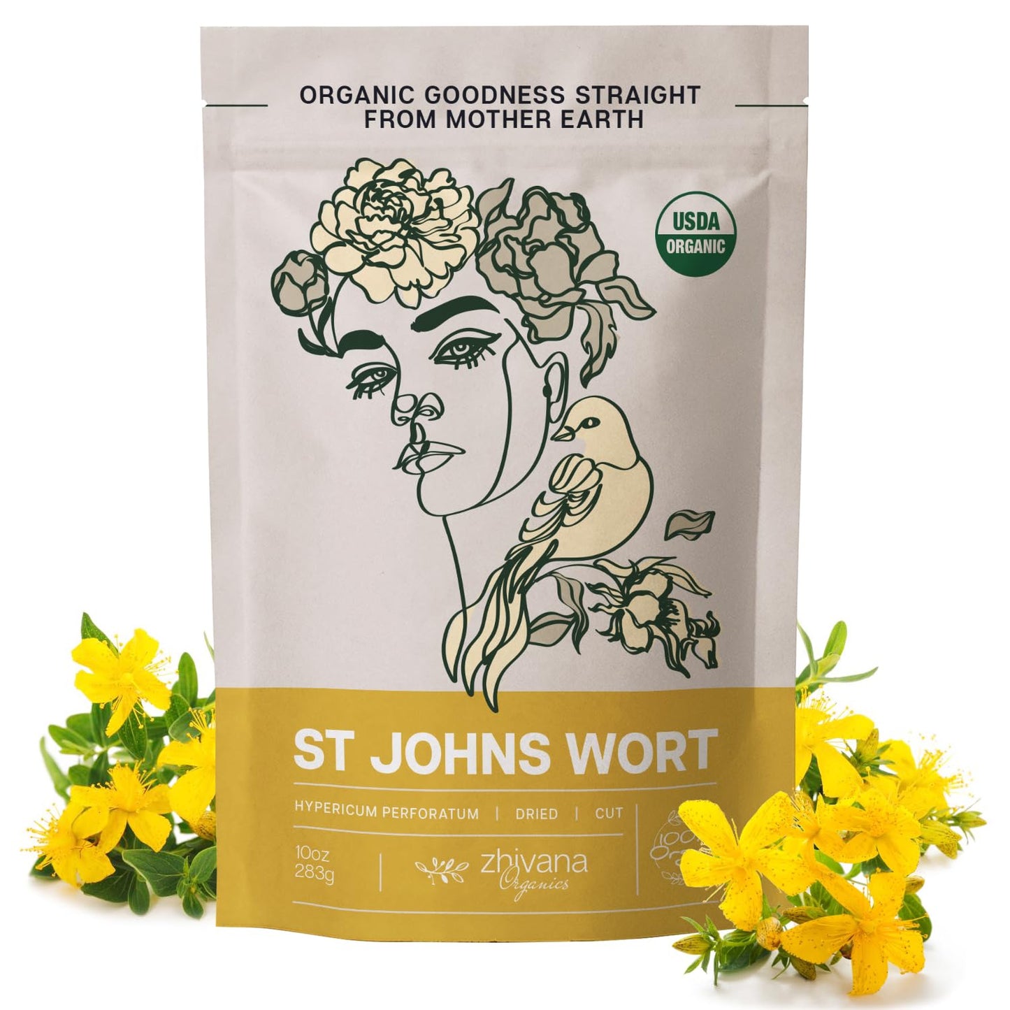 Organic St Johns Wort Tea (10 oz.) – 100% Pure Dried Saint John’s Wort Herb – Te de Hierba de San Juan Organica