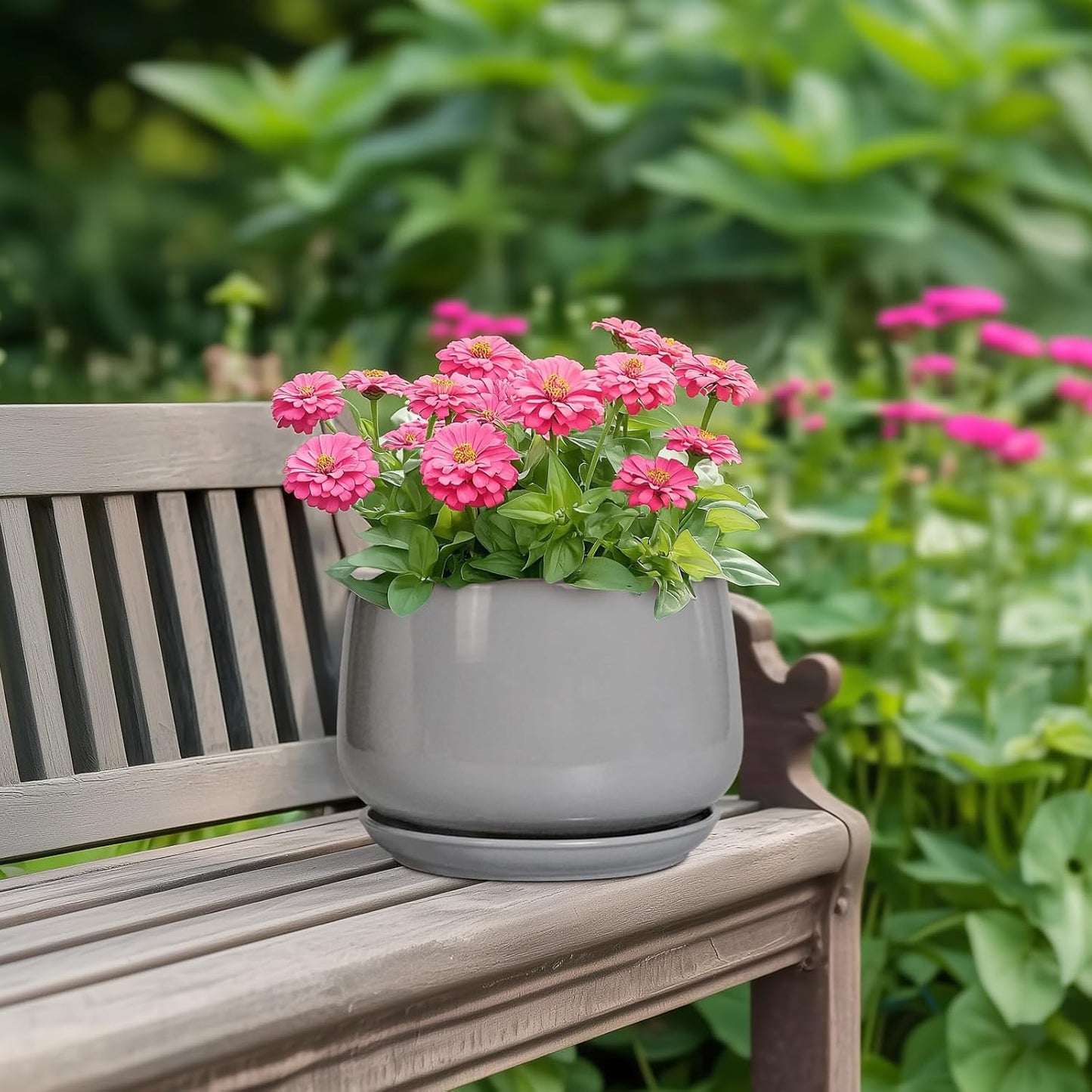 G EPGardening Modern Ceramic Planter - 7 Inch Round Modern Plant Pot Indoor with Drainage and Ceramic Tray Indoor Outdoor for Flower, Vanity Decor, Birthday Gifts, Grey