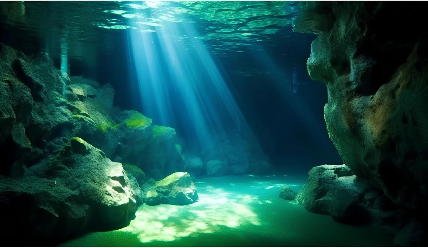Underwater Fish Tank Background Under The Sea Cave Style Aquarium Background Ocean Floor Cave Sunlight Fish Tank Backdrop Tropical Fish Aquarium Terrarium Backgrounds Decorations 24x16in