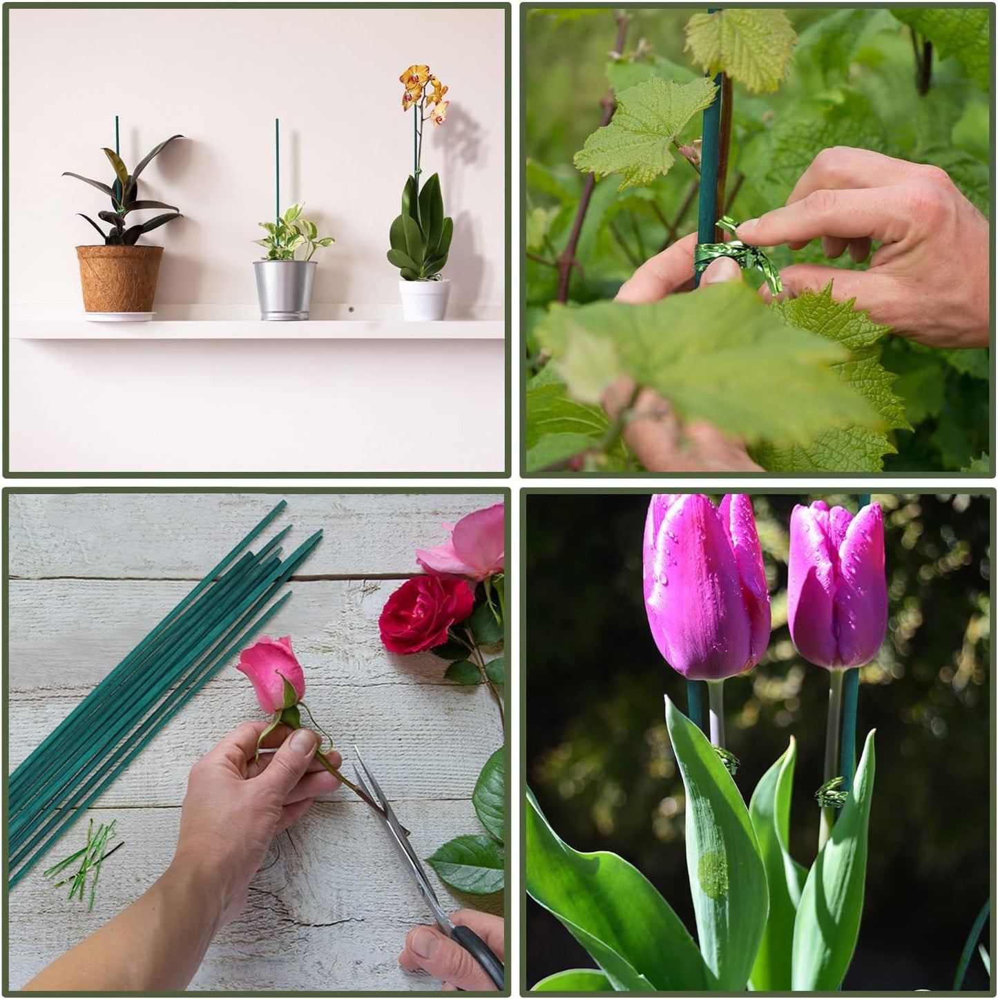 Green Bamboo Plant Stakes, Plant Sticks Support for Indoor and Outdoor Plants, Garden Wood Sturdy Bamboo Sticks, Floral Plant Support Stakes for Garden Plants 25 Pack（15 Inches）