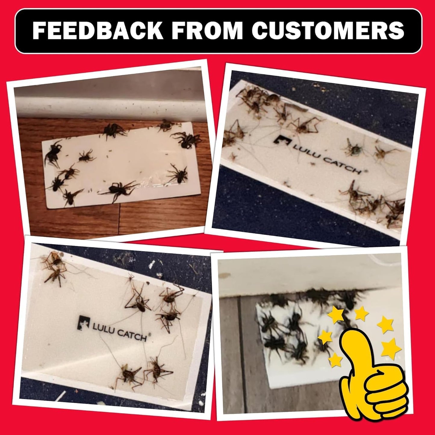 LULUCATCH Cricket & Insect Glue Traps 24 Pack, Adhesive Bug Catcher, Pre-Baited Spider Scorpion Trap, Non-Toxic Glue Boards Indoor for Home Catching Bugs,Small Mice & Rodents, Pet Safe Pest Control