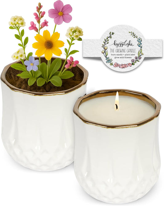 The Growing Candle, Mint & Eucalyptus Scented, 9oz Ceramic Pot, Aromatherapy Candles, 100% Soy, Astrid