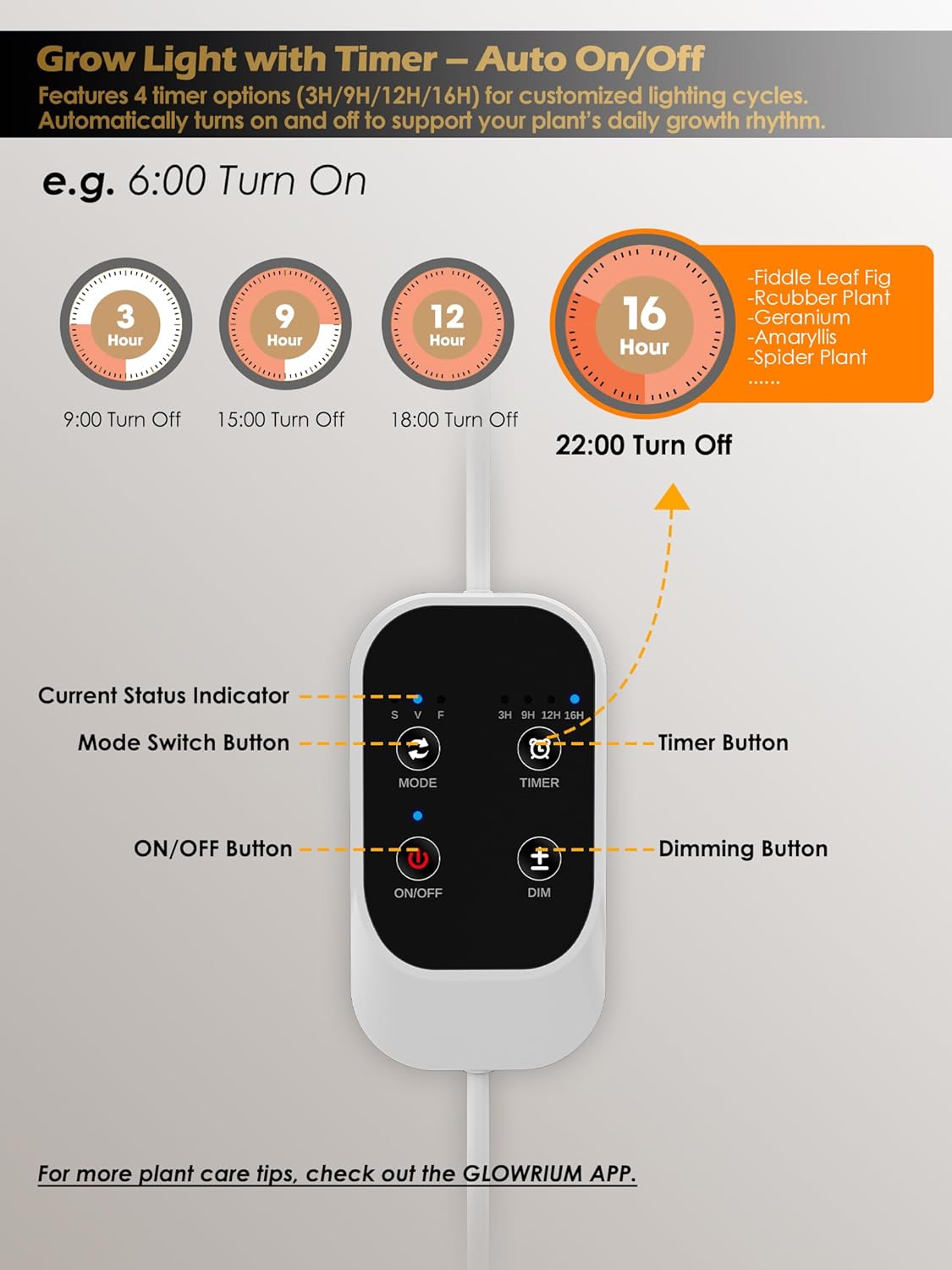 GLOWRIUM Grow Lights for Indoor Plants,Plant Light with 3/9/12/16H Grow Light Timer,2-Head 48W Full Spectrum LED Grow Light, 3 Lighting Mode and Stepless Dimming (White, 48W)