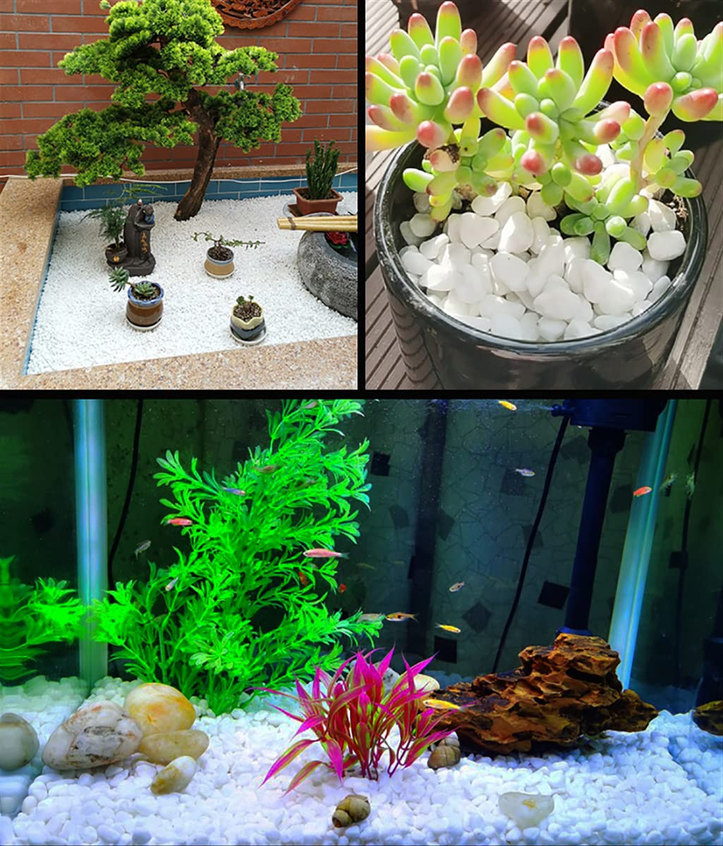 HOT SEAL 3.0 LB White Polished Pebbles 3/8", Natural Decorative Smooth River Rocks, Gravel Size White Small Pebble Stone for Succulent, Bonsai, Potted Plants, Landscaping, Fairy Garden, Aquarium