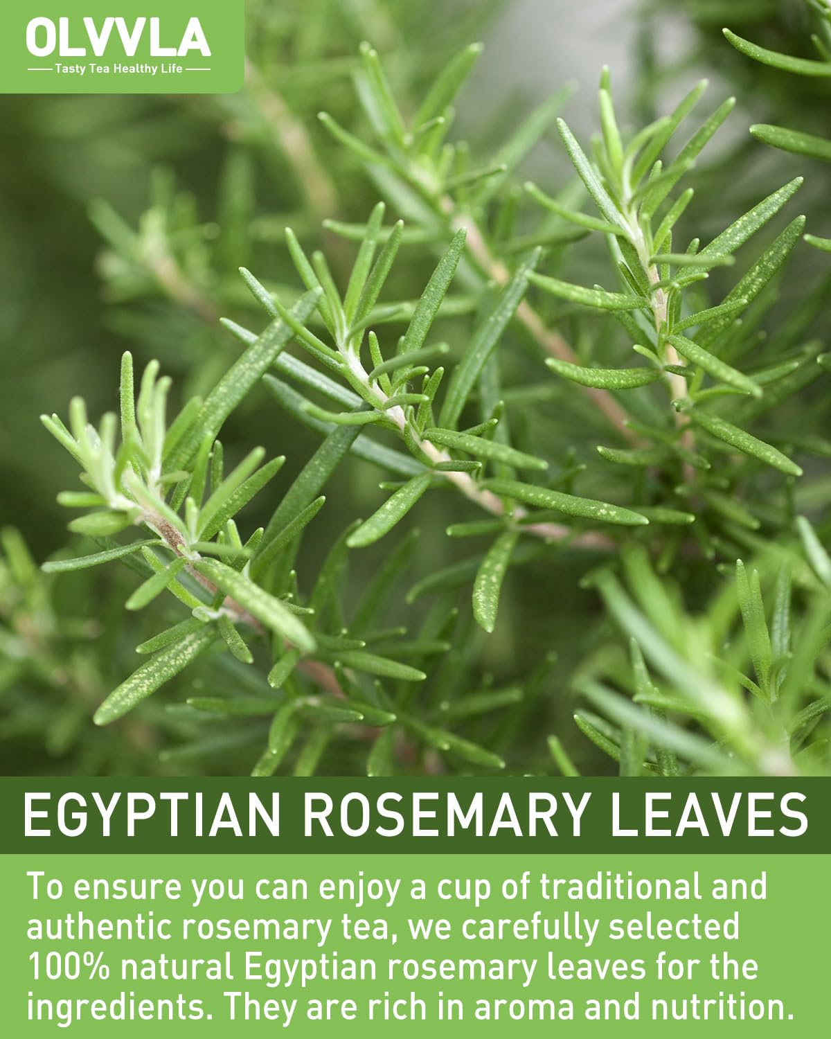 Olvvla - Rosemary Tea Bags - 1.5g X 60 Count - Pure Natural Dried Rosemary Leaves - Cultivated in Egypt - Non-GMO - Caffeine-free - Support Digestion