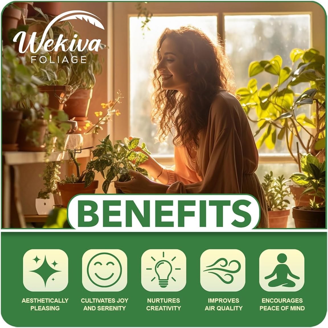 Fig Tree Variety Multipack - 4 Live Starter Plants - Ficus Carica - Grower's Choice Based on Health Beauty and Availability