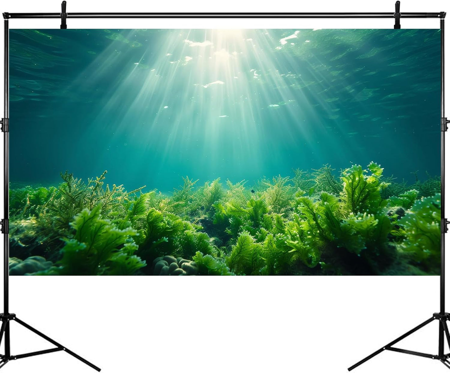 Deep Ocean Fish Tank Background Under The Sea Aquatic Plants Aquarium Background Underwater Corals Sunray Terrarium Backgrounds Tropical Fish Ocean World Aquarium Backgrounds Decorations 36x20in