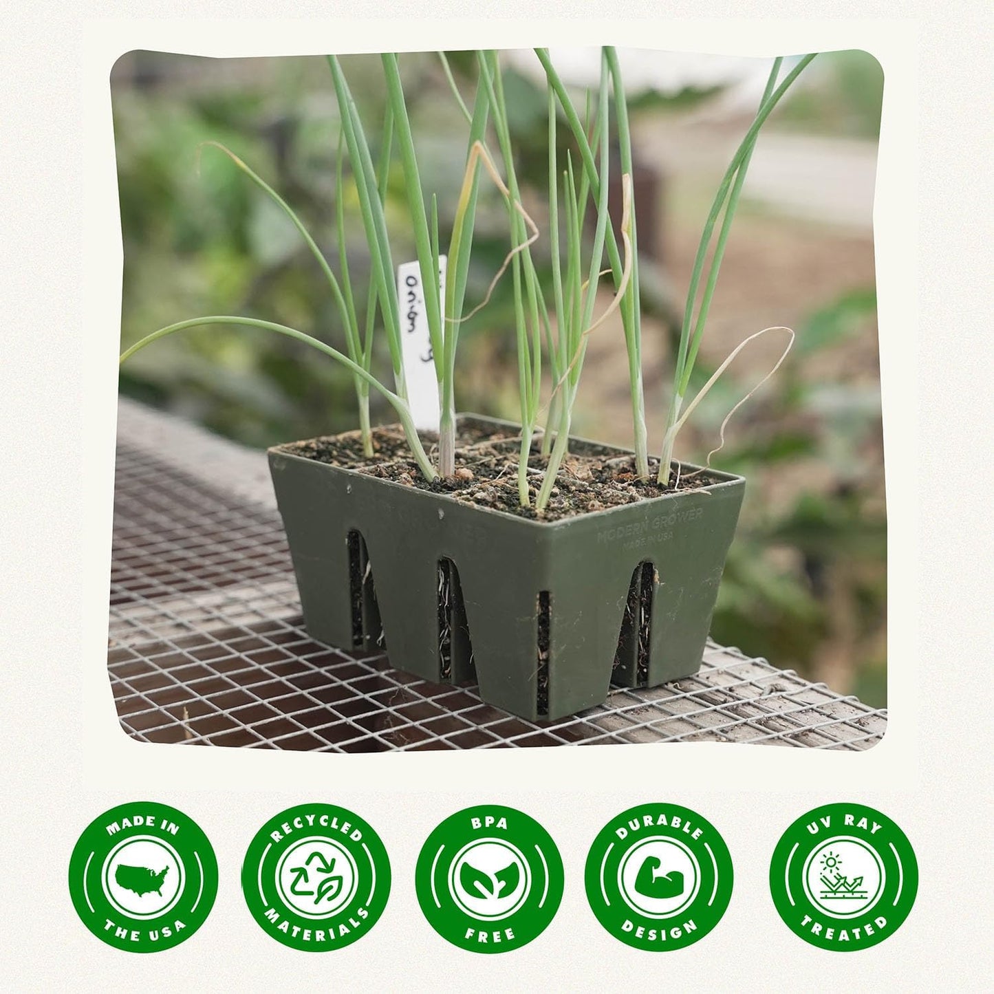 Epic Gardening Reusable Seed Starter Tray - 6 Cell/24 Seedling Starter Trays - Easy Watering, Indoor Greenhouse, Plant Starter, Gardener-Friendly for Seedlings | UV-Treated & BPA-Free - Sage Green
