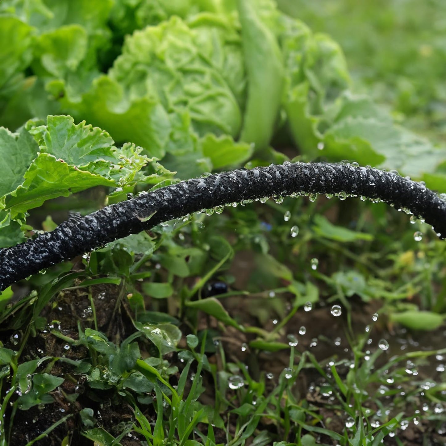 Hourleey Flat Soaker Hose 100 FT for Garden, 100' (50FT x 2) Linkable Consistent Drip Irrigation Hose, Leak-free Dual-layer Design Saving 80% Water Garden System Water Hose with Holes