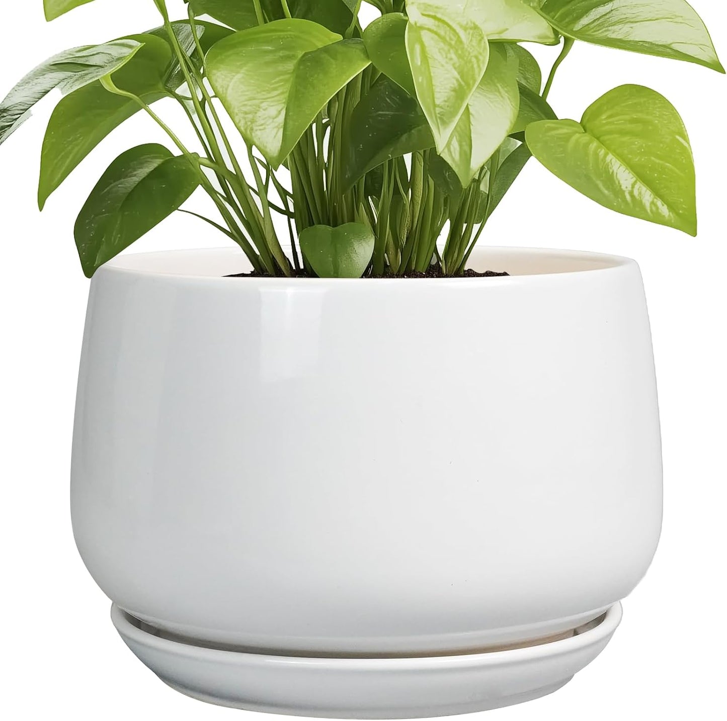 G EPGardening Ceramic Planter 9 Inch - Plant Pots with Drainage and Ceramic Saucer, Flower Pots for Indoor Plants, Modern Outdoor Planter, Living Room Decor, Gifts for Plant Lovers, White