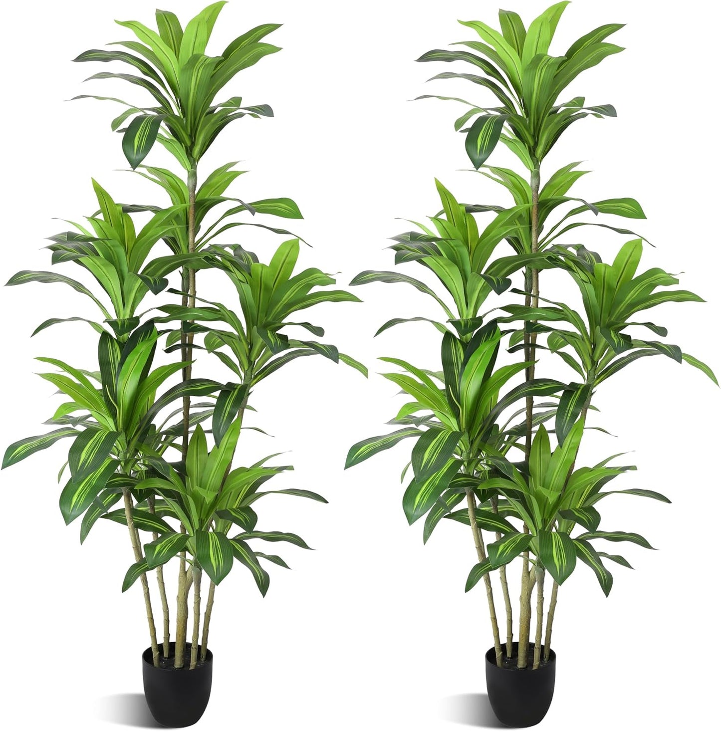 Artificial Trees 6Ft Dracaena Fragrans Faux Trees with 8 Heads Floor Plants for Living Room Decor Fake Silk Plants for Home Decor Indoor Potted Plants Office Garden Outdoor…