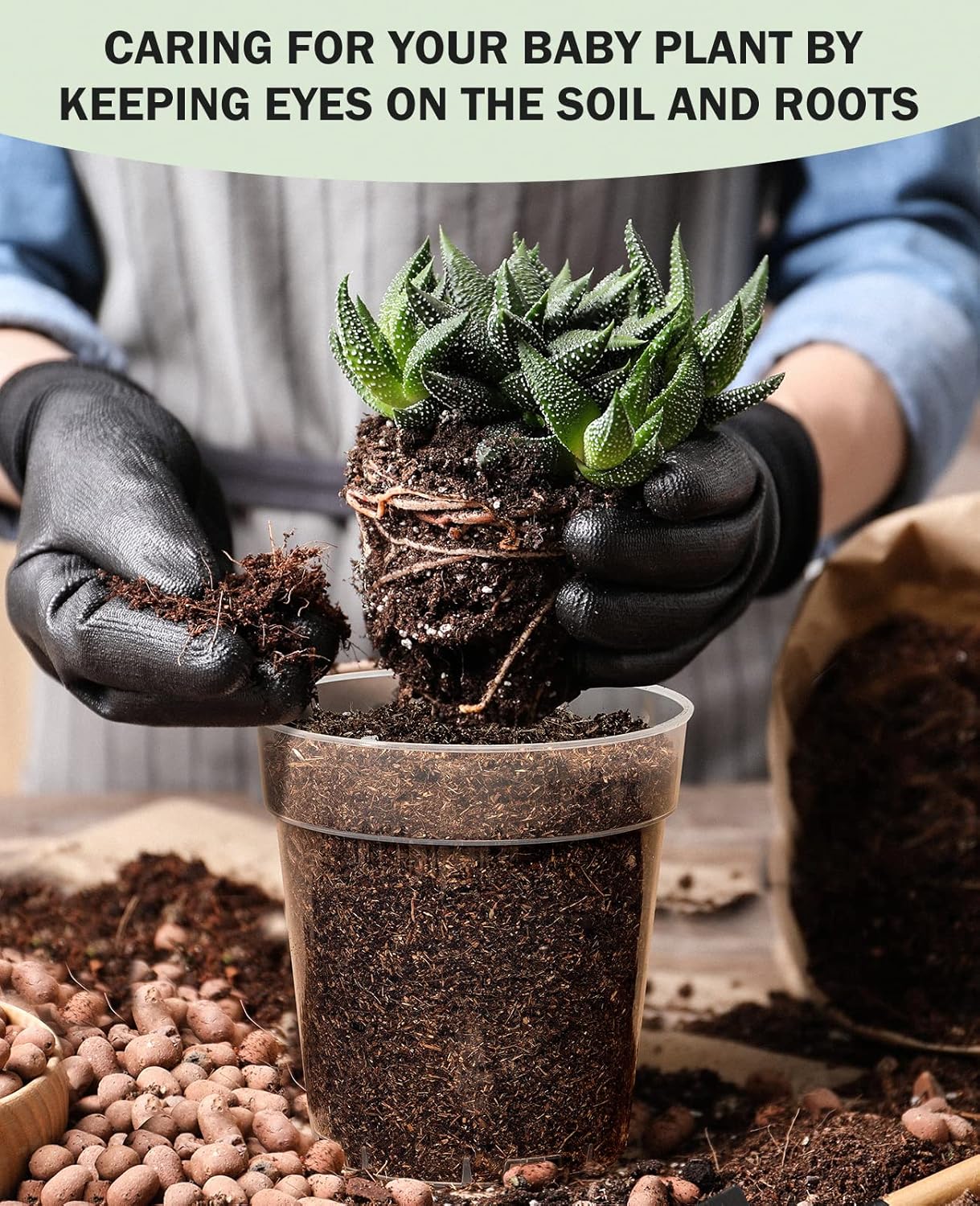 homenote Clear Nursery Pots for Plants,5 Inch Plant Pot for Planting Plastic Seedling with Drainage Holes Seed Starter Flower High Transparency with 20 Labels (30 Pack)