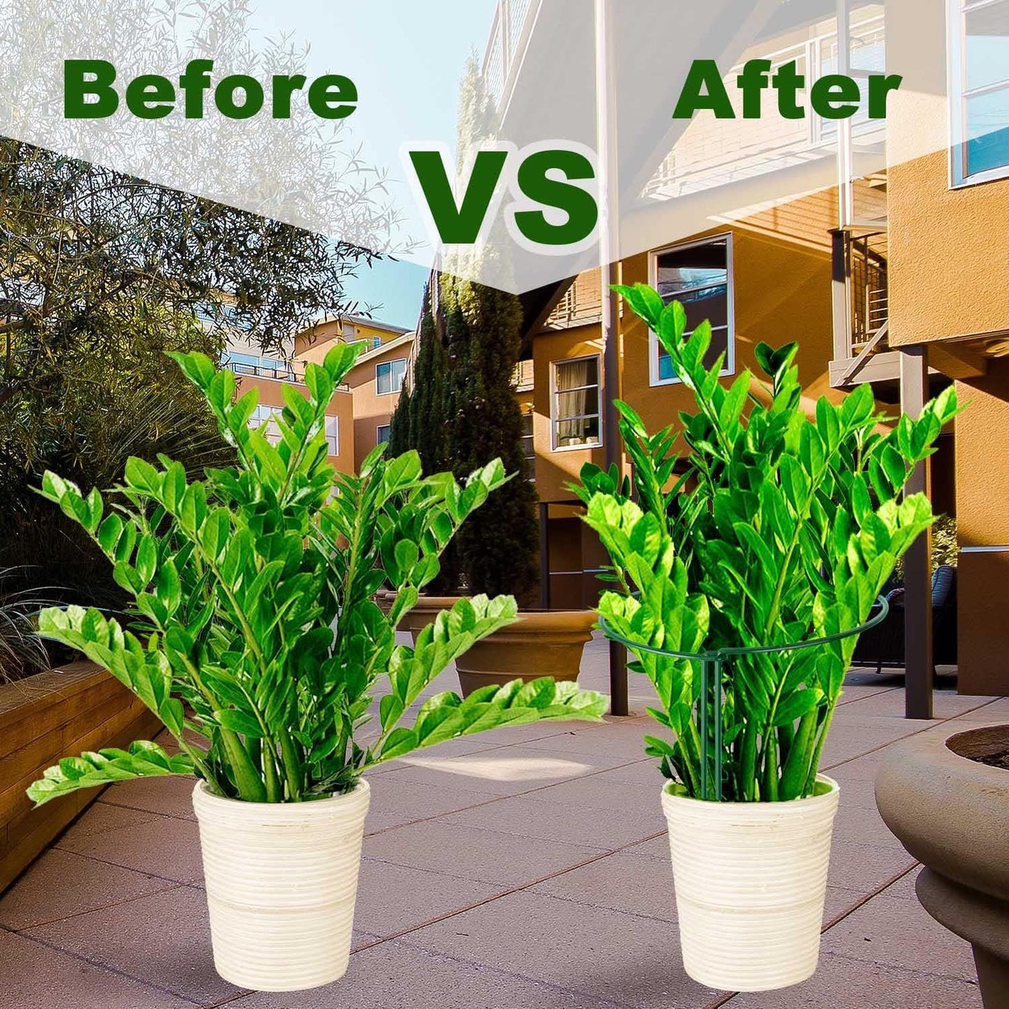 HiGift 8 Pack Plant Support Stakes, Half Round Metal Garden Plant Stake Indoor Peony Cages and Supports, Green Plant Support Ring Border for Tomato,Hydrangea,Flower Outdoor (10" Wide x 15.8" High)