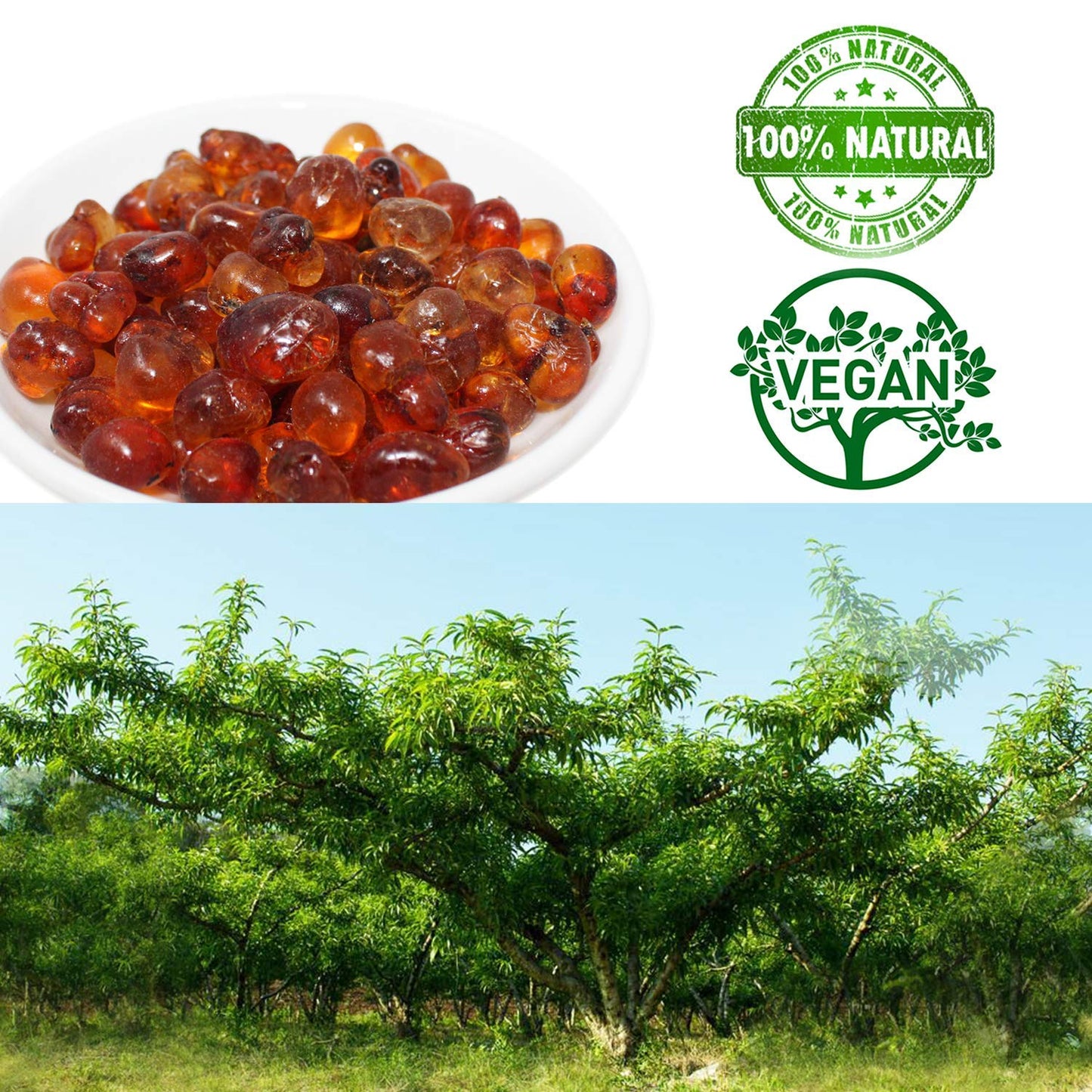 DABC OAK LAND Wild Peach Gum, All Natural Edible Peach Blossom, Tears Tao Jiao Peachs Resin, 滋補抗皺 桃膠 Boosting Resin for Skin & Health, Food Additives Free for Dessert, Drink, Soup, Tea, 8OZ/Bag