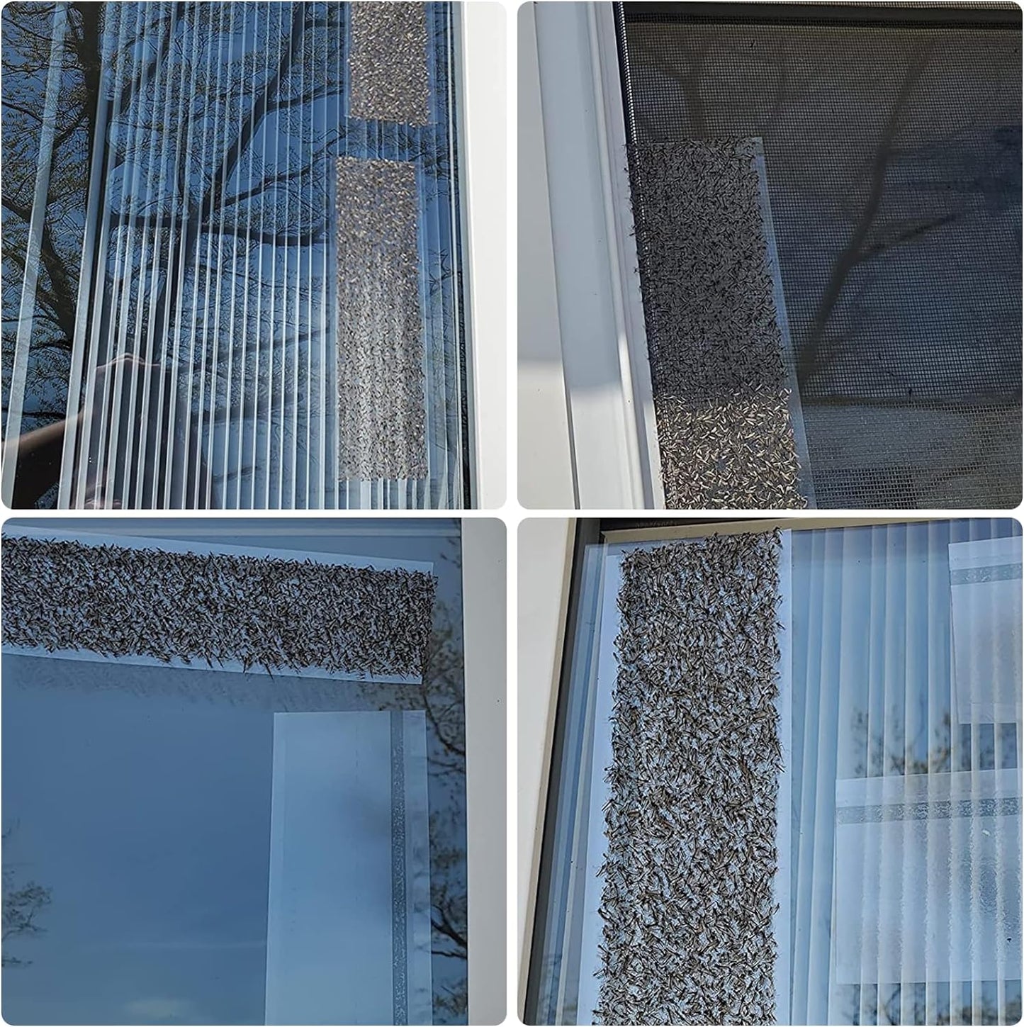 80 Pack Window Fly Traps Sticky,Clear Fly Paper Indoor for Home,Window Sticky Traps Fruit and Housefly Trap Indoor Fly Catcher Bug Traps Gnat Catcher Killer