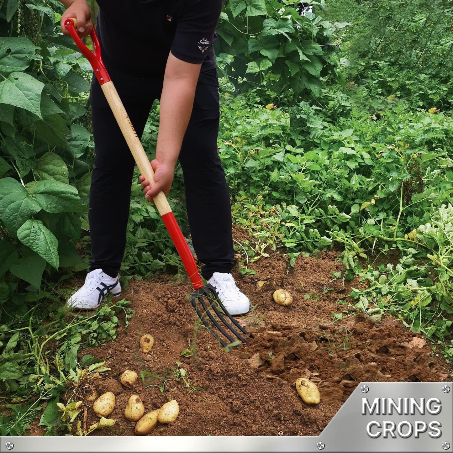 Garden Fork,4-Tine Spading Fork,Compost Fork,Steel Digging Fork,45Inch,Steel Y-Grip,Wooden Handel