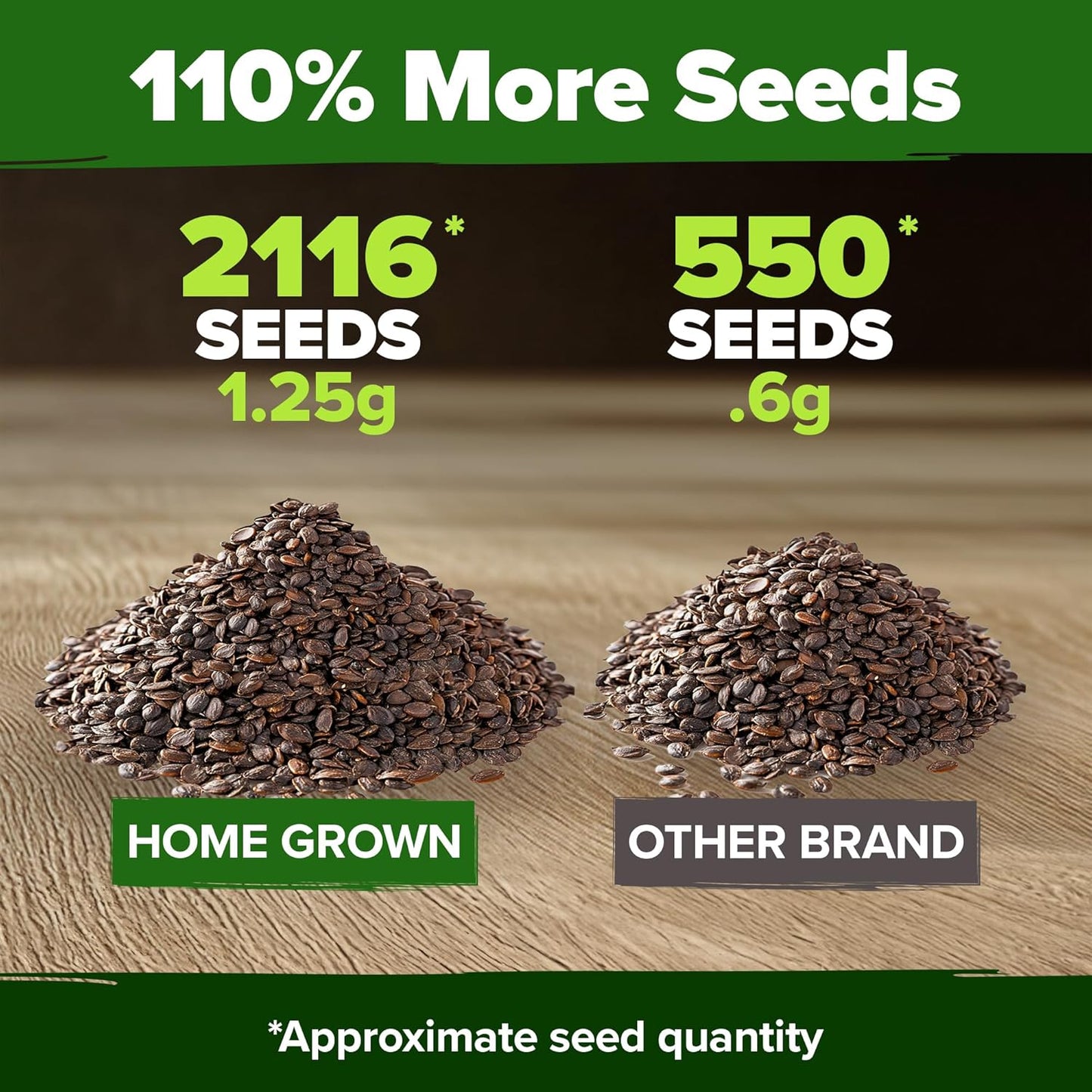 HOME GROWN 𝗨𝗦𝗔 𝗣𝗥𝗘𝗠𝗜𝗨𝗠 Catnip Seeds (Bulk Pack) 𝗡𝗢𝗡-𝗚𝗠𝗢 Heirloom Herb 2,116 Seeds - Indoor or Outdoor Seed - High-Germination Cat Nip - Cat Safe Plants (Nepeta cataria)