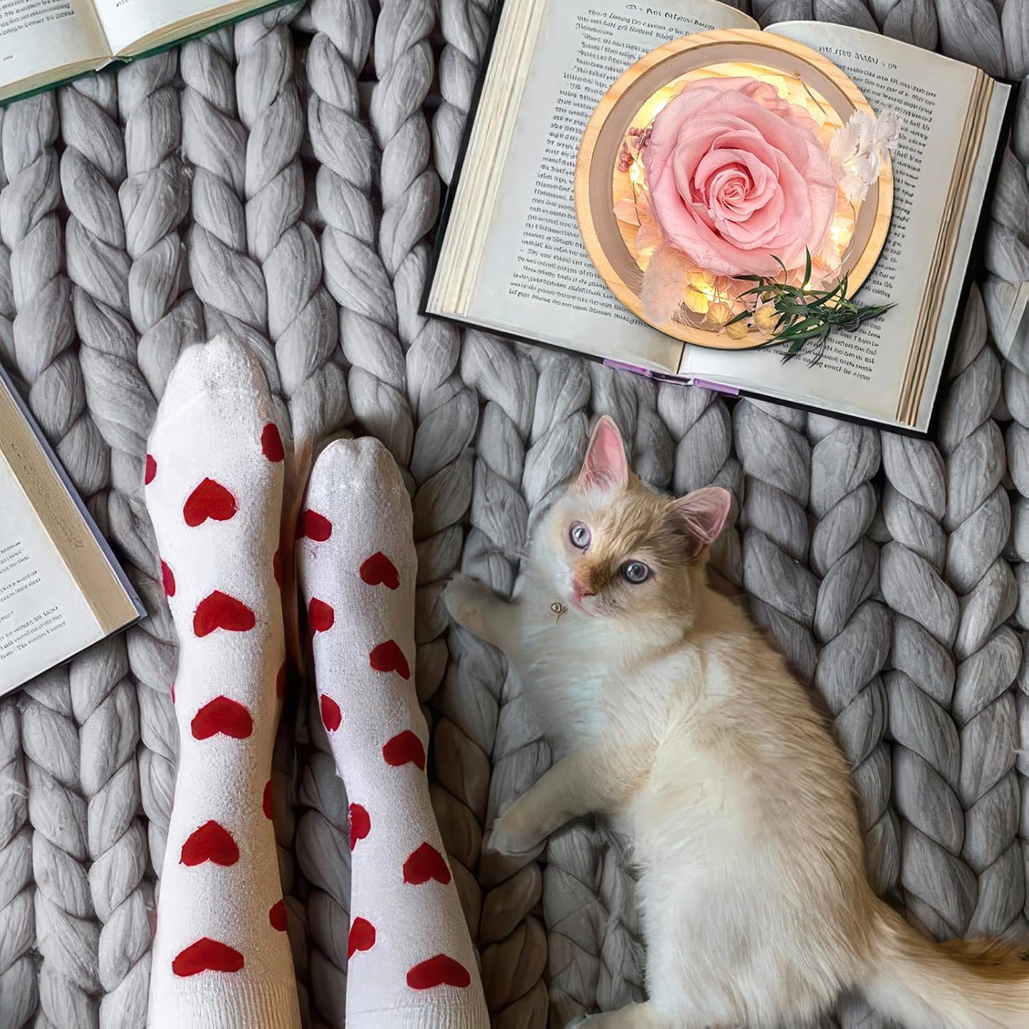 Flowers, Roses Gift – Fresh Flowers Bouquet & Preserved Roses for Home Decor – Forever Flowers for Delivery Prime to Show Love for Women, Unique for Mother's Day & Christmas