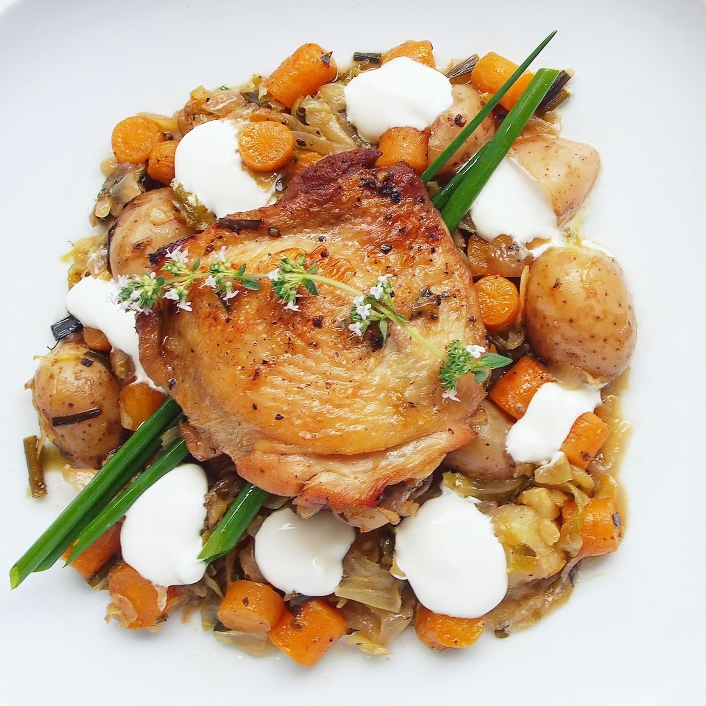 German Thyme Plants - Perfect for Indoor or Outdoor Gardening, High in Antioxidants, Fragrant and Flavorful Herb (4 ger Thyme Cups)