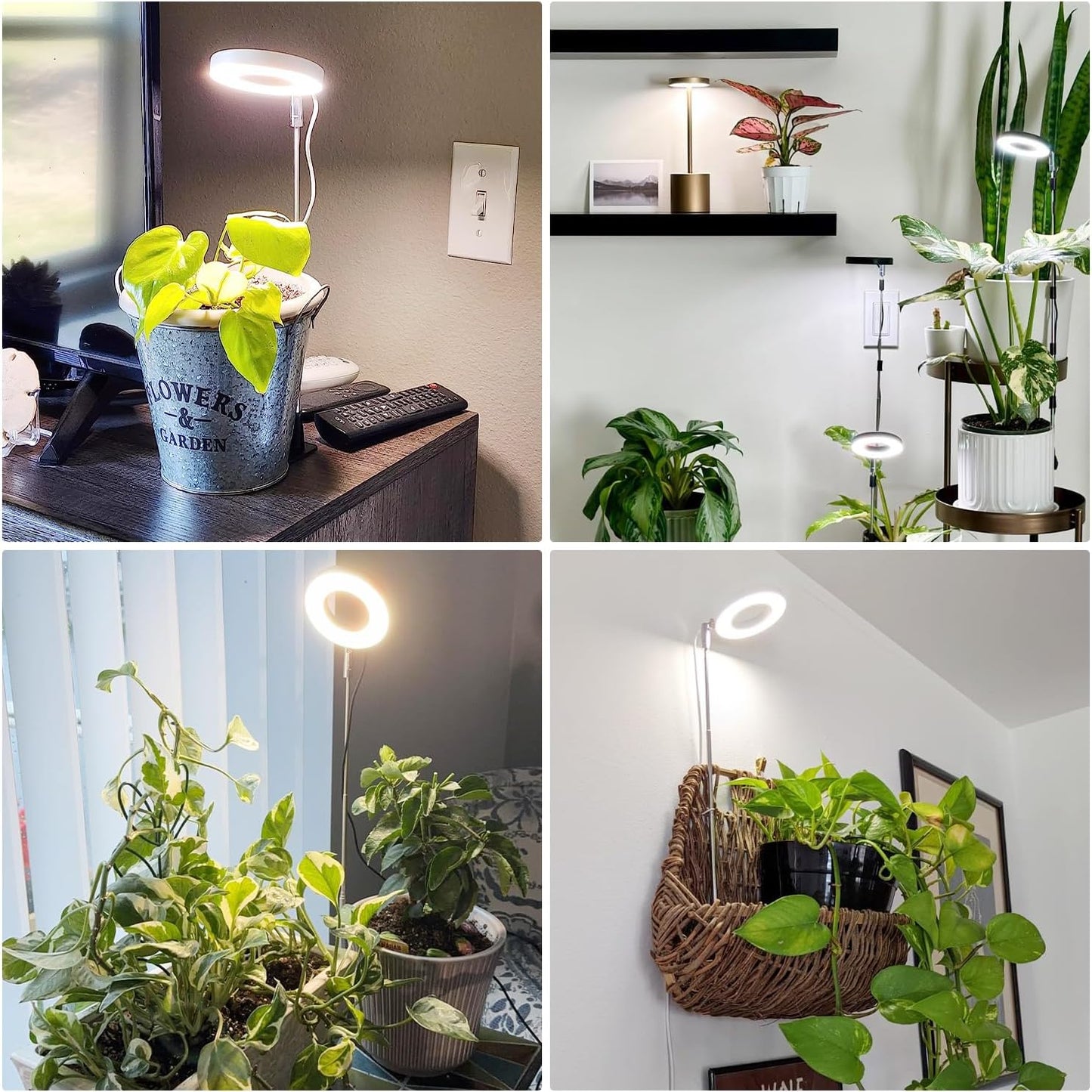 Grow Light, Full Spectrum Plant Lights for Indoor Growing with with 3/9/12H Timer, 3 Color Modes, 10 Brightness, 6.5"-26" Height Adjustable Halo Grow Light with Base, 3 Pack(3.4in)