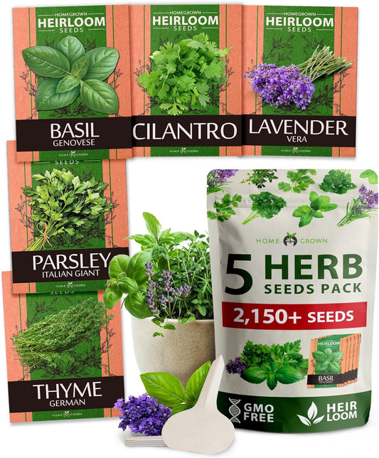 HOME GROWN 5 Herb Seeds for Planting 2,150+ Non-GMO Heirloom Seeds | Extra Large Variety Pack Herb Kit – Indoor Outdoor & Hydroponic | Culinary Seed Set | Grow Your Own Herbs | Gift for Beginners