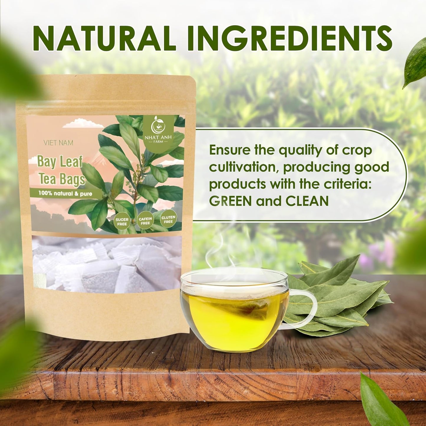 NHAT ANH FARM - Premium Bay Leaf Tea Bags, 40 Tea Bags, 100% Natural Dried Bay Leaf, Naturally Sweet Herbal Tea, Sugar-Free, Caffeine-Free, No Additives.