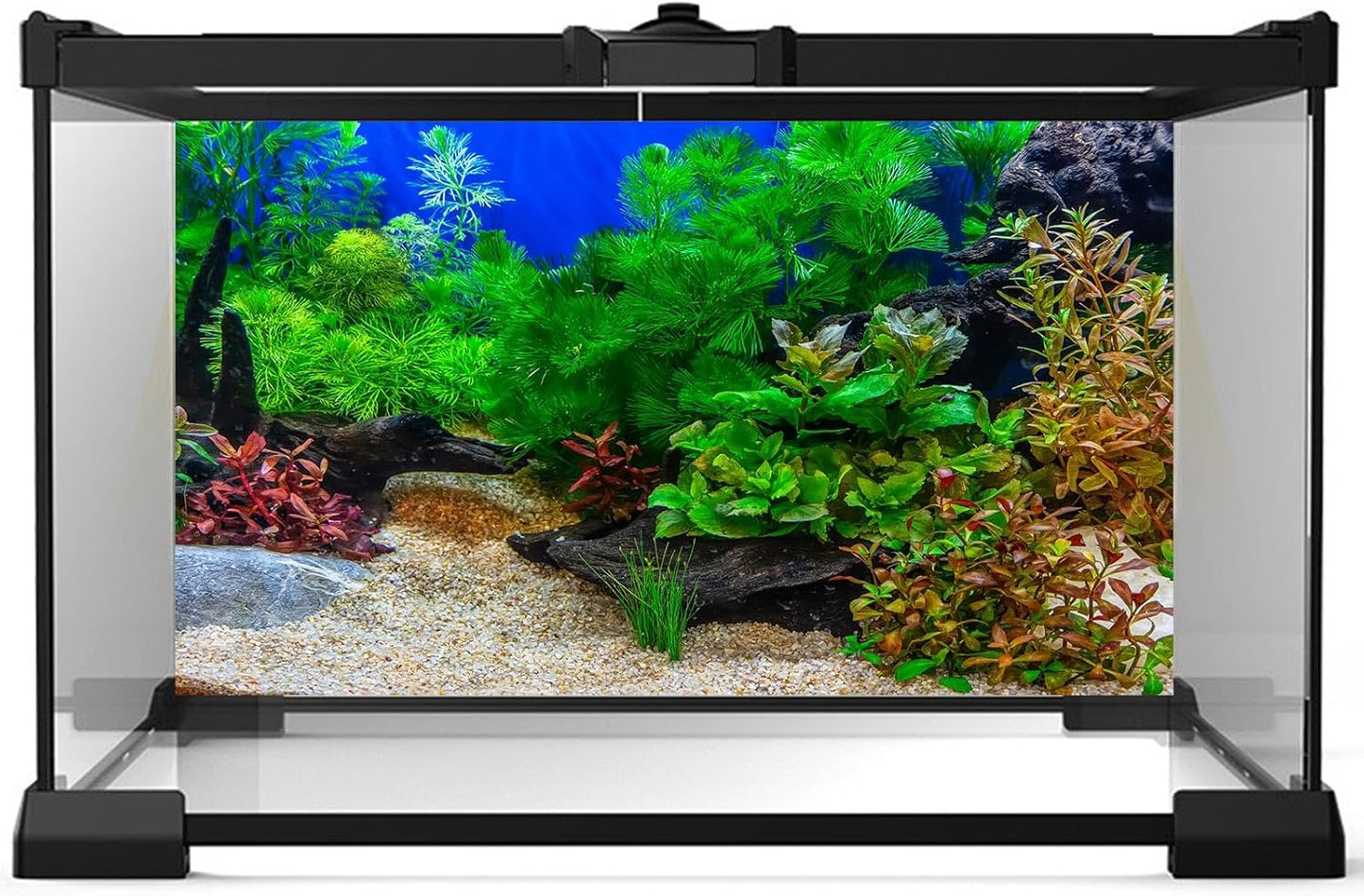 Aquarium Background Underwater Grass Leaves with Pebble Aquarium Backdrop Vivid and Fresh Green Aquatic Plant Stone River Bed and Lake Fish Deadwood Tank Background Decor Vinyl 72x16in